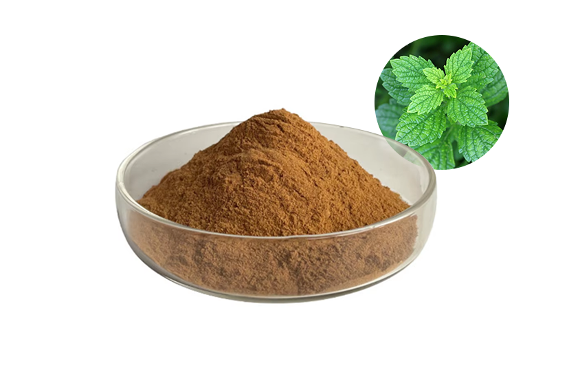 Lemon Balm Extract Powder